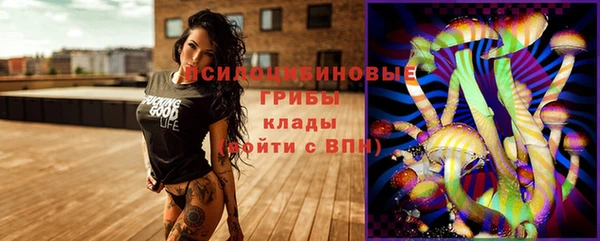 МДПВ Верхний Тагил