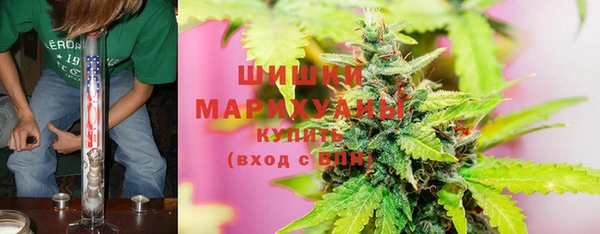 шишки Володарск